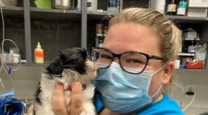 Team with Mosaic myVCA WOOFWare