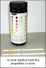 testing_for_abdominal_enlargement-5