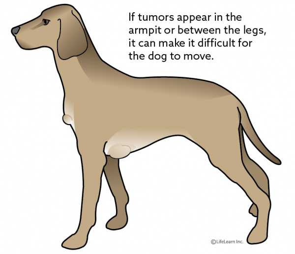 dog_adipose_tumor_location_2018-01 dog_adipose_tumor_location_2018-01
