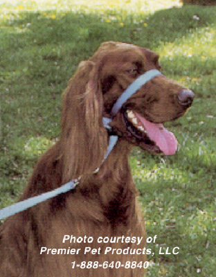 behavior_management_products_2 behavior_management_products_2