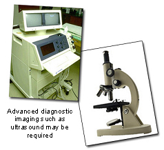 adrenal_cortex_tumors-2