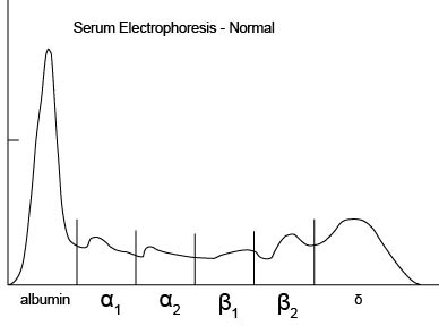 serum_protein_electrophoresis-2