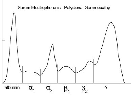 serum_protein_electrophoresis-3