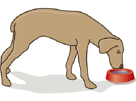 testing_for_increased_thirst_and_urination-1 testing_for_increased_thirst_and_urination-1