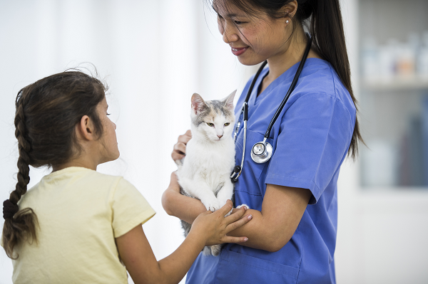 young girl and her cat with female veterinarian