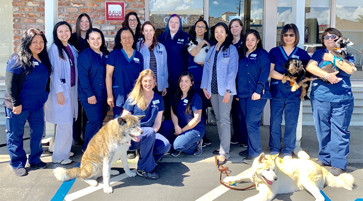 Team with Mosaic myVCA WOOFWare