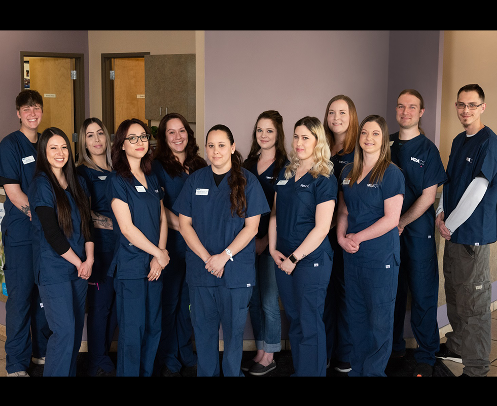 Our Vet Support