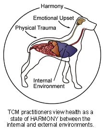 veterinary_tcm-2