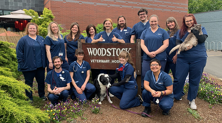 Team with Mosaic myVCA WOOFWare